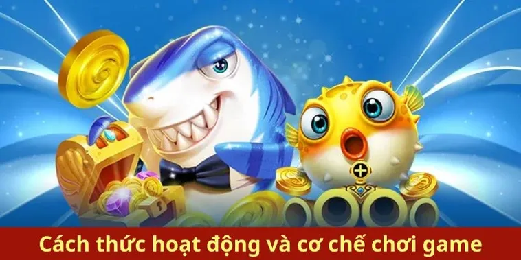 Cách Chơi Bắn Cá Royal Fishing Tại 188Bet Hiệu Quả Và Chi Tiết Nhất