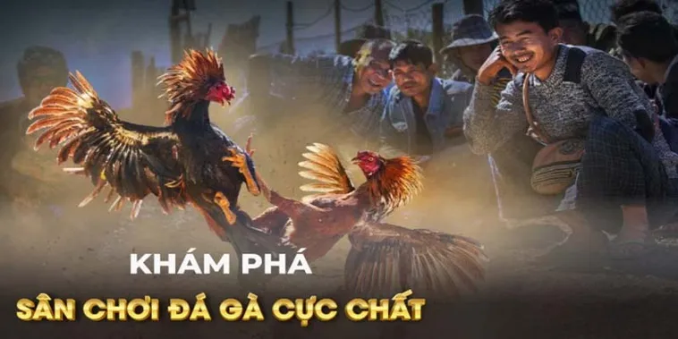 Cách Chơi Đá Gà GA28 Tại 188Bet Chi Tiết Và Hiệu Quả Cho Người Mới