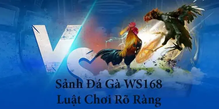 Cách Chơi Đá Gà WS168 Tại 188Bet Chi Tiết Và Hiệu Quả Dành Cho Người Mới