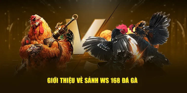 Cách Chơi Đá Gà WS168 Tại 188Bet Chi Tiết Và Hiệu Quả Dành Cho Người Mới