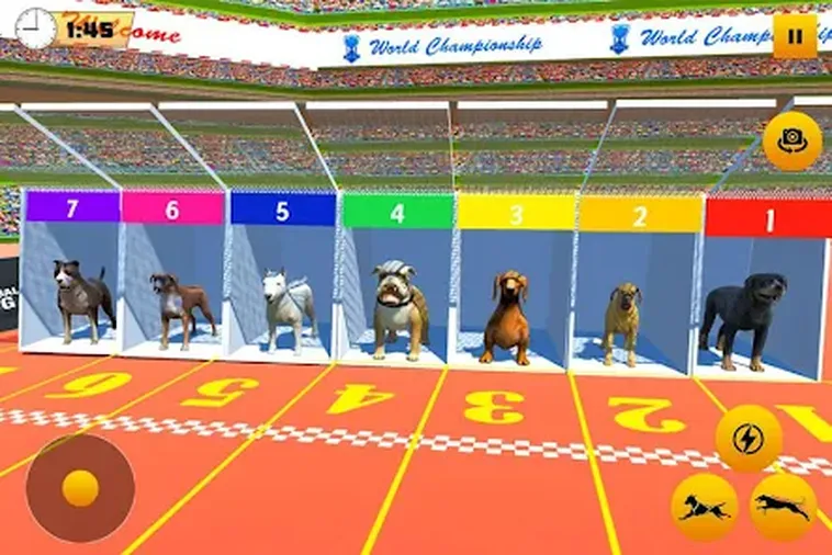 Hướng Dẫn Cách Chơi Game Nhanh Đua Chó Tại 188Bet Dễ Hiểu Và Hiệu Quả