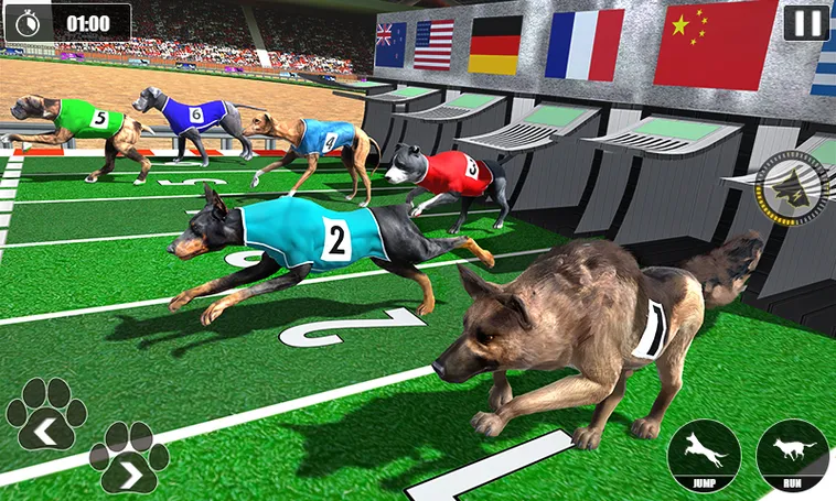 Hướng Dẫn Cách Chơi Game Nhanh Đua Chó Tại 188Bet Dễ Hiểu Và Hiệu Quả